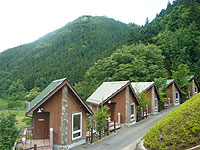 gcC